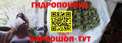 сатива Бузулук