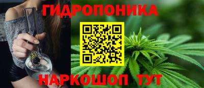 ECSTASY Будённовск