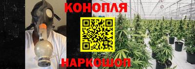 сатива Бузулук