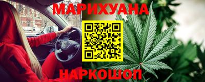 сатива Бузулук
