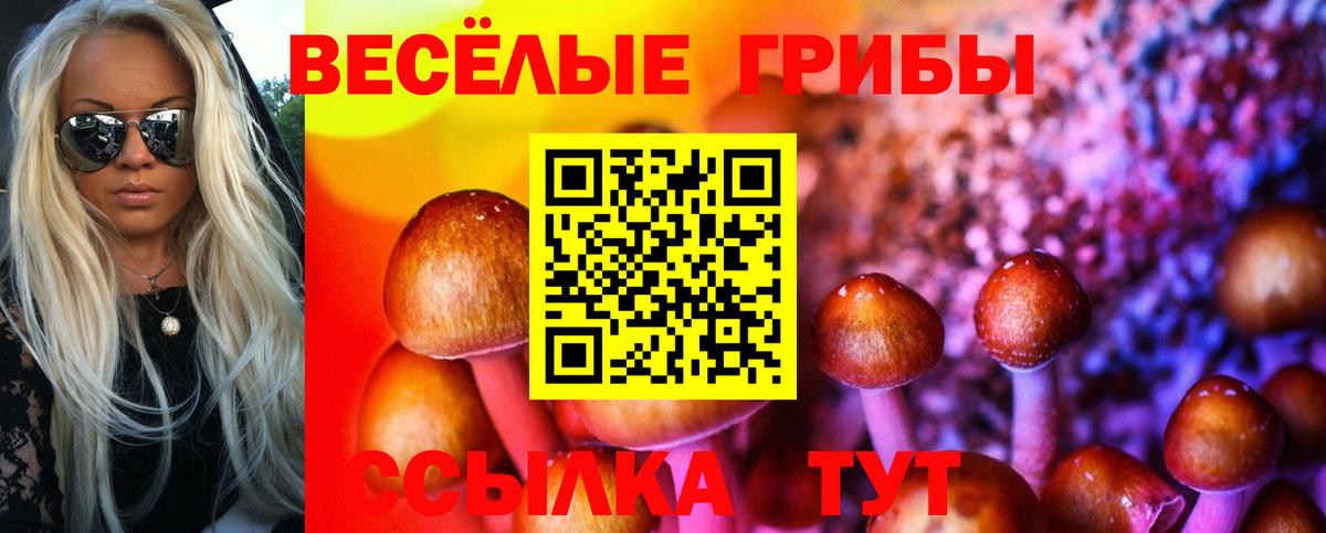 Метадон Полысаево