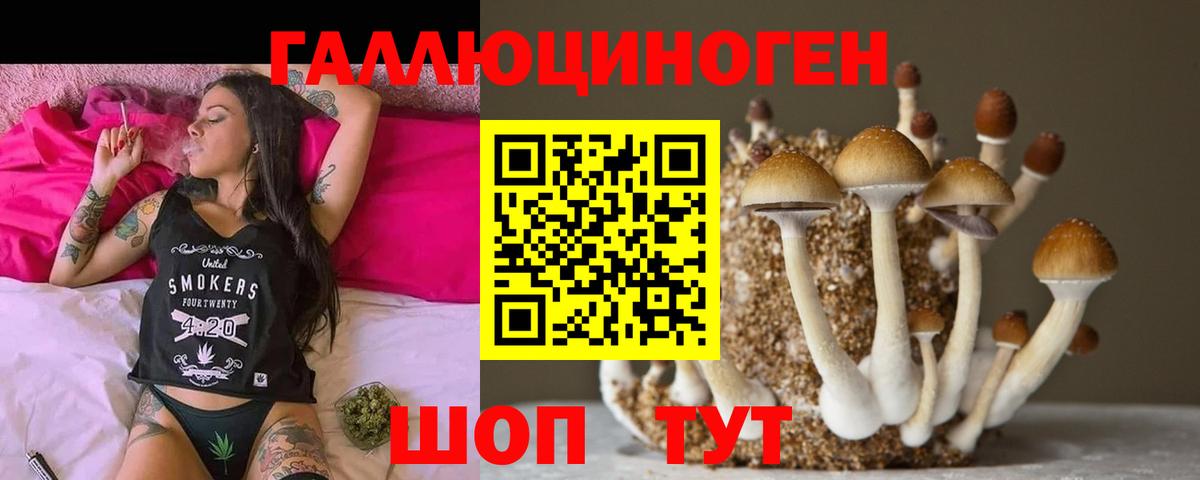 Полысаево  Псилоцибиновые грибы Cubensis  Вход с VPN 